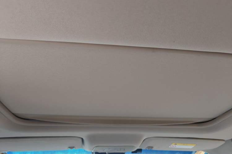 Used Buick GL8 2017 25S Luxury Version China V Standard Headliner