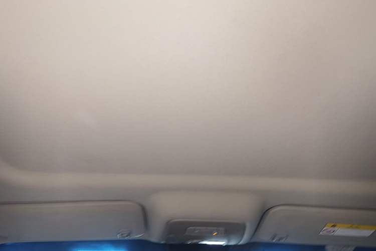 Used Buick GL8 2017 25S Comfort Version China V Standard Headliner