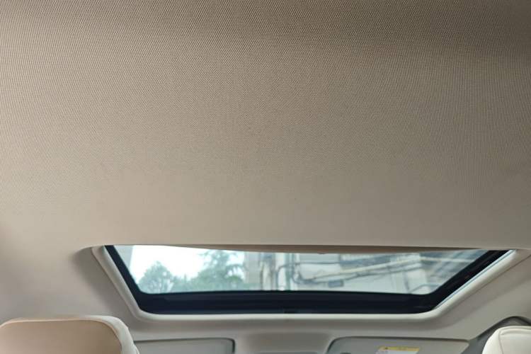 Used Buick GL8 2017 25S Luxury Version China V Standard Headliner