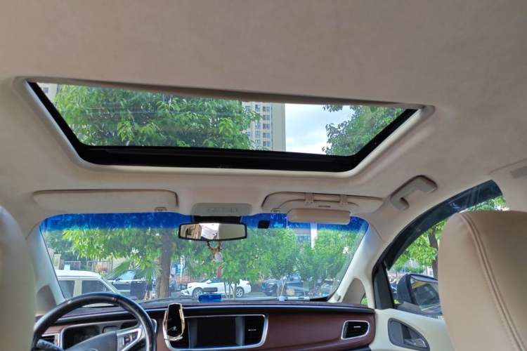 Used Buick GL8 2017 25S Luxury Version China V Standard Headliner