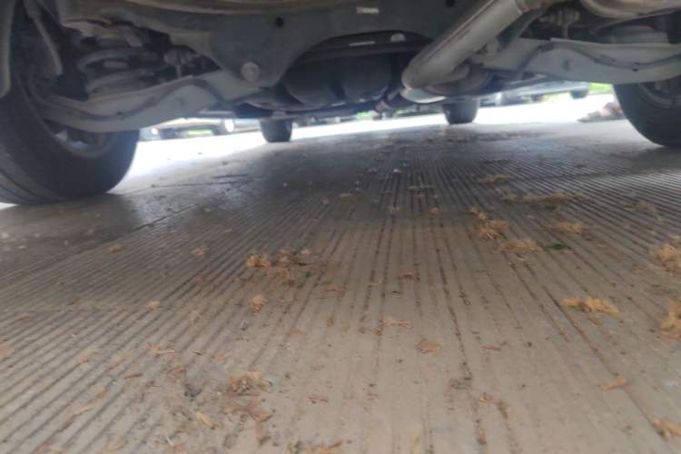 Used Buick GL8 2017 ES 28T Luxury Model China V Standard Chassis Rear
