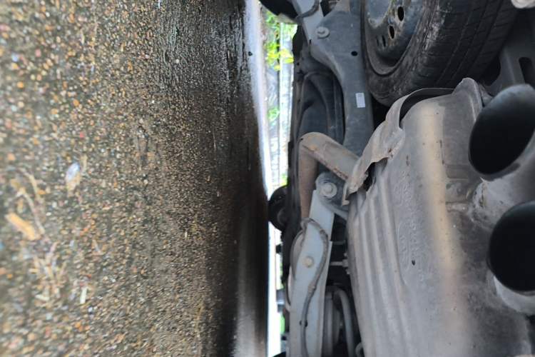 Used Buick GL8 2017 ES 28T Flagship Model China V Standard Chassis Rear
