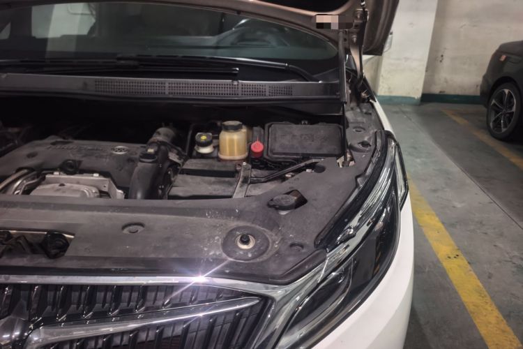 Used Buick GL8 2017 ES 28T Flagship Model China V Standard Engine Bay Left