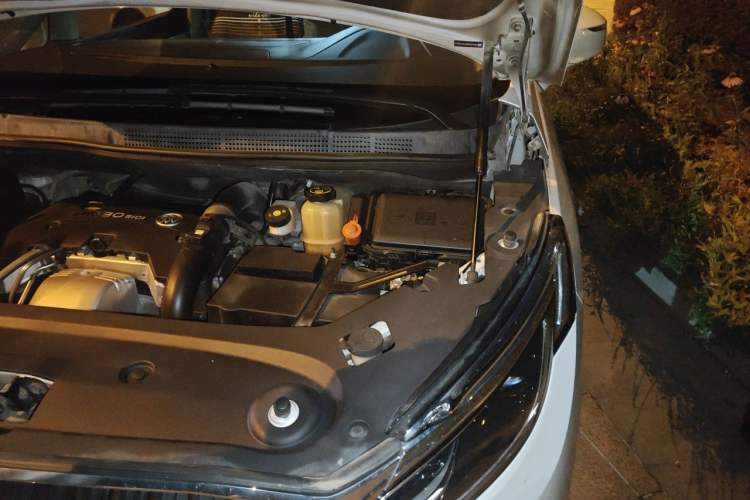 Used Buick GL8 2017 ES 28T Luxury Model China V Standard Engine Bay Left