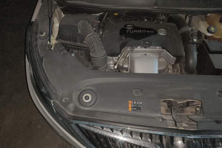 Used Buick GL8 2017 ES 28T Flagship Model China V Standard Engine Bay Right