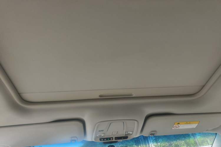 Used Buick GL8 2017 ES 28T Comfort Model China V Standard Headliner