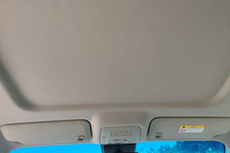 Used Buick GL8 2017 25S Comfort Version China V Standard Headliner