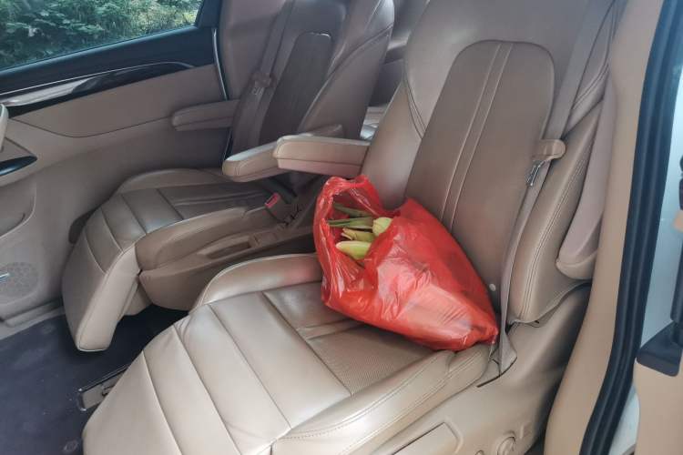 Used Buick GL8 2017 ES 28T Flagship Model China V Standard Left Rear Seat