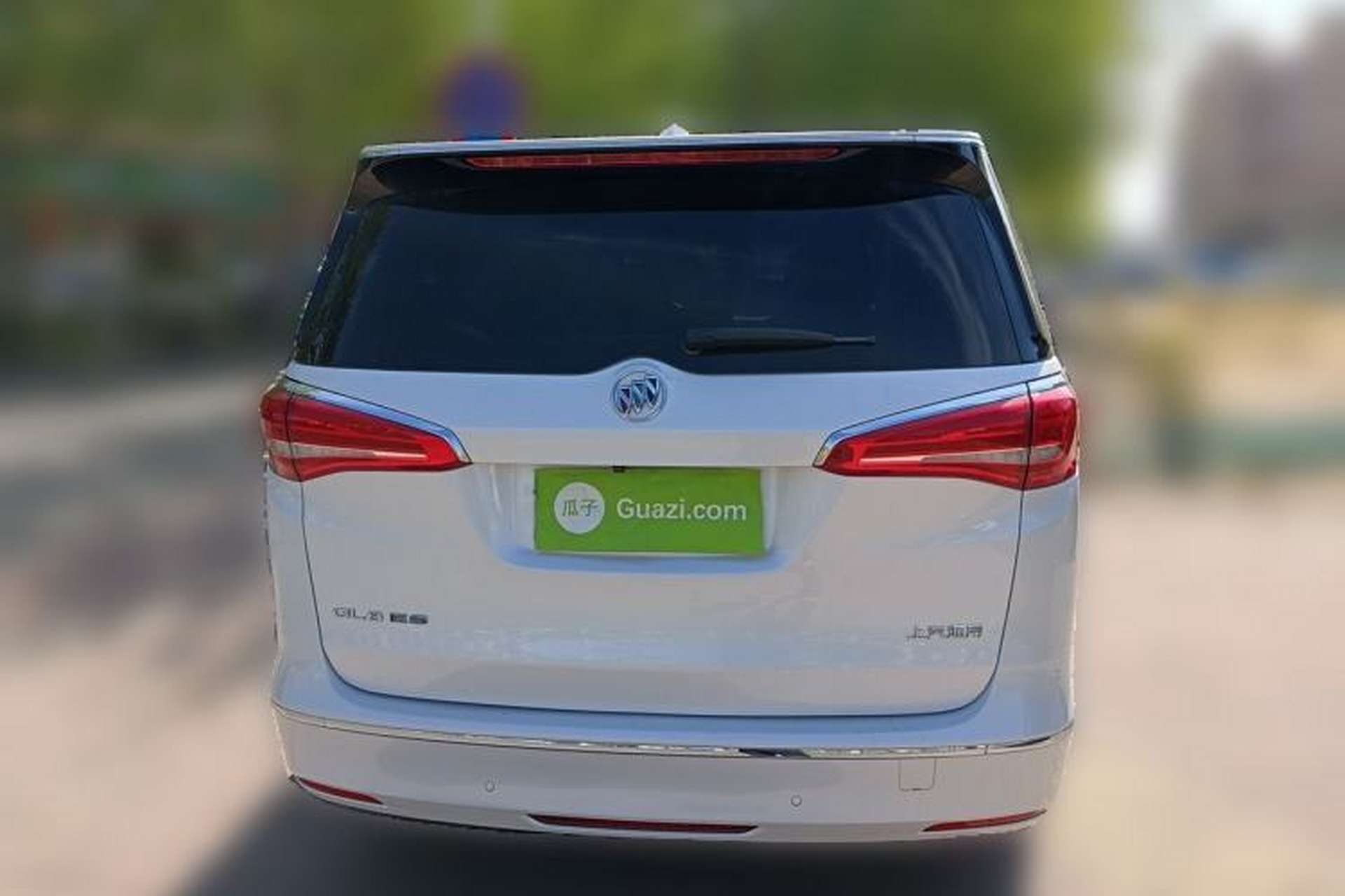 Used Buick GL8 2017 ES 28T Luxury Model China V Standard Rear