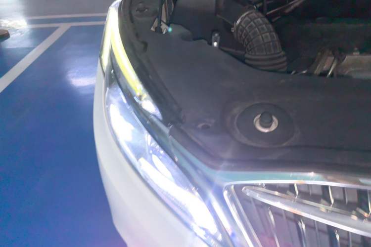 Used Buick GL8 2017 ES 28T Flagship Model China V Standard Right Front Headlight