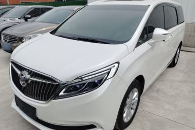 Used Buick GL8 2017 ES 28T Premium Version China V Standard