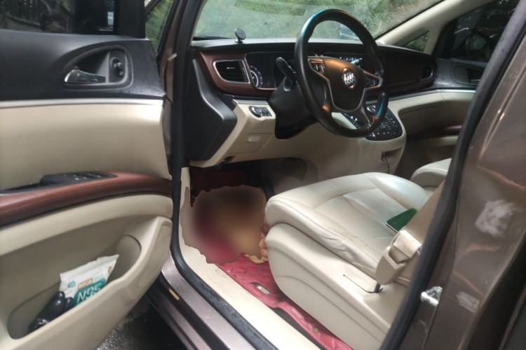 Used Buick GL8 2017 25S Luxury Version China V Standard Driver Seat