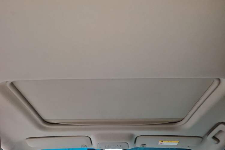 Used Buick GL8 2017 25S Luxury Version China V Standard Headliner