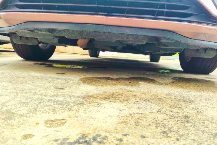 Used Buick GL8 2018 28T Luxury Model China VI Standard Chassis Front