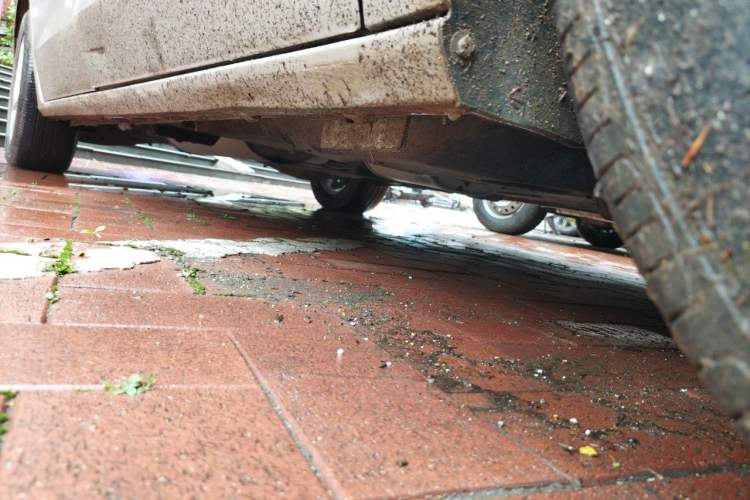 Used Buick GL8 2018 ES 28T Comfort Model China VI Standard Chassis Front Right