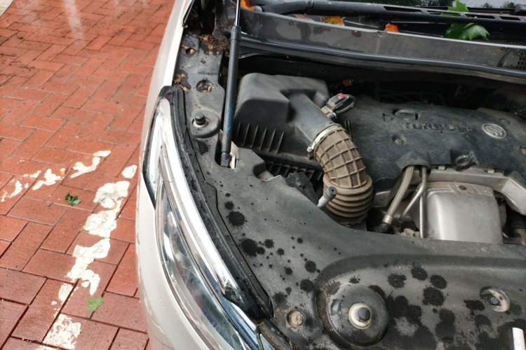 Used Buick GL8 2018 ES 28T Comfort Model China VI Standard Engine Bay Right