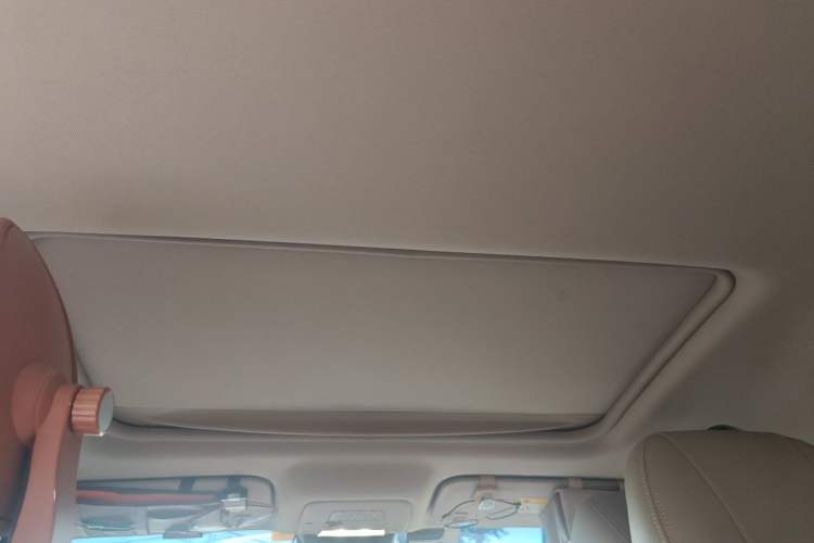 Used Buick GL8 2018 28T Luxury Model China VI Standard Headliner