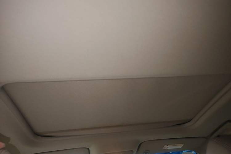 Used Buick GL8 2018 28T Luxury Model China VI Standard Headliner