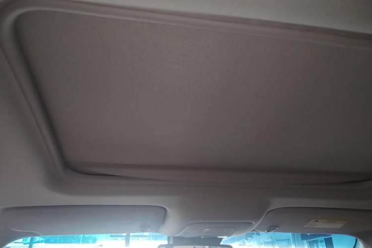 Used Buick GL8 2018 28T Luxury Model China VI Standard Headliner