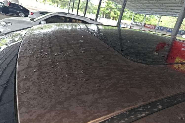 Used Buick GL8 2018 28T Luxury Model China VI Standard Roof