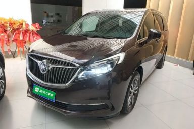 Used Buick GL8 2018 ES 28T Luxury Model China VI Standard