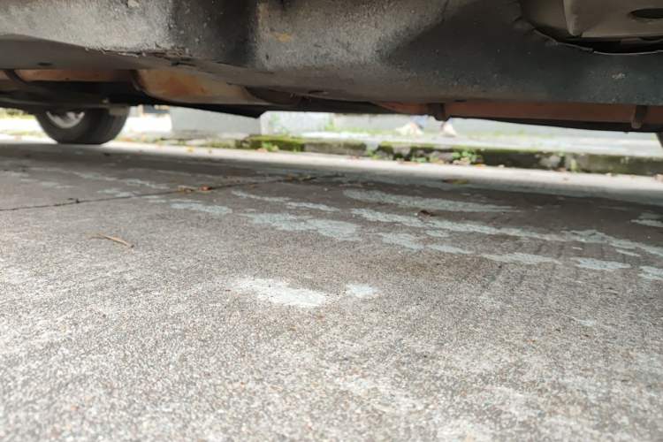 Used Buick GL8 2018 28T Comfort Model China VI Standard Chassis Rear Right