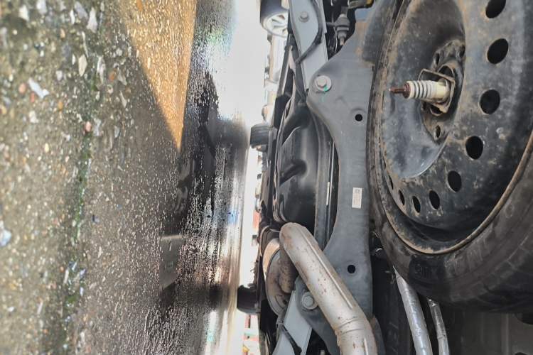 Used Buick GL8 2018 ES 28T Comfort Model China VI Standard Chassis Rear