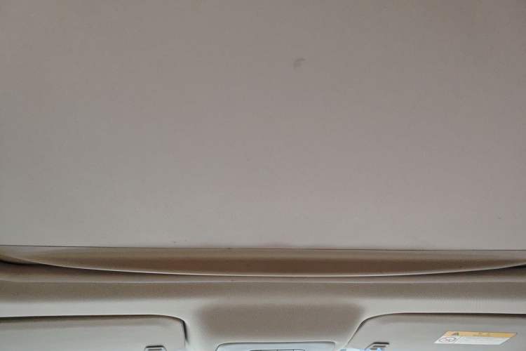 Used Buick GL8 2018 28T Luxury Model China VI Standard Headliner