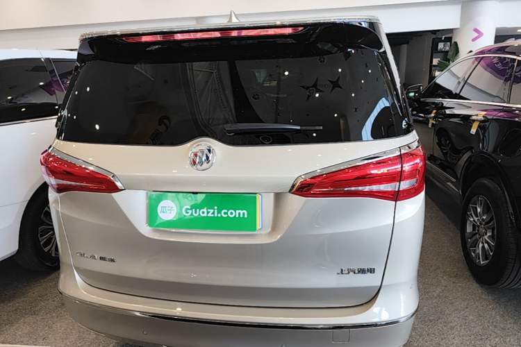 Used Buick GL8 2018 ES 28T Luxury Model China VI Standard Rear