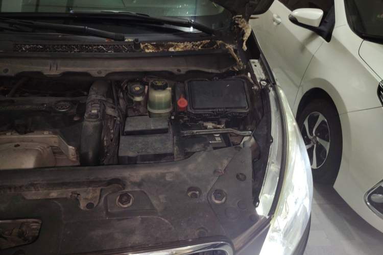 Used Buick GL8 2018 28T Luxury Model China VI Standard Engine Bay Left