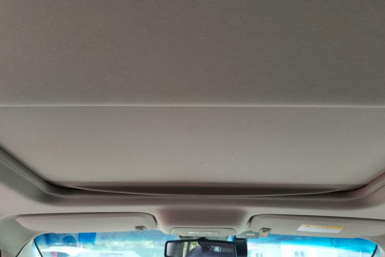 Used Buick GL8 2018 28T Luxury Model China VI Standard Headliner
