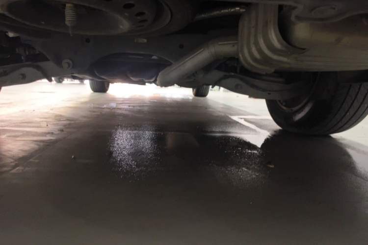 Used Buick GL8 2018 ES 28T Comfort Model China VI Standard Chassis Rear