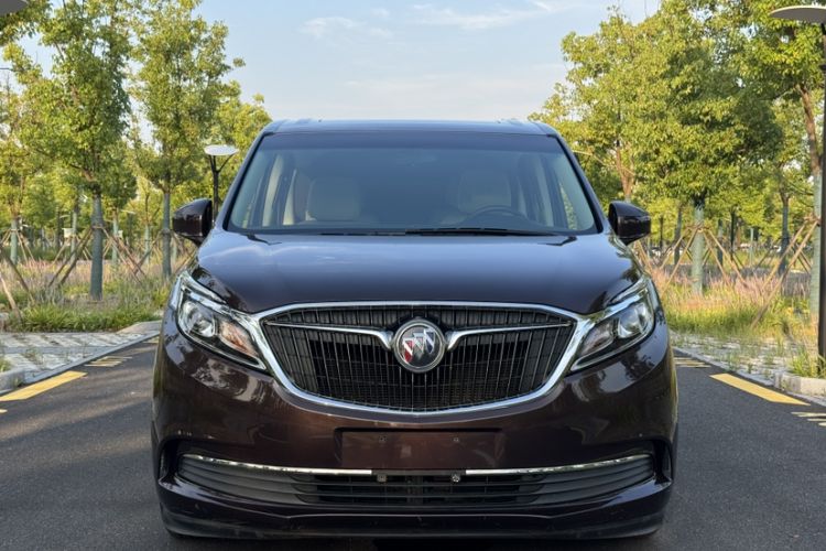 Used Buick GL8 2018 ES 28T Comfort Model China VI Standard Exterior 1