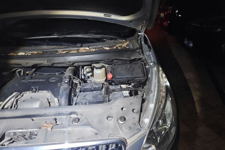 Used Buick GL8 2018 28T Luxury Model China VI Standard Engine Bay Left