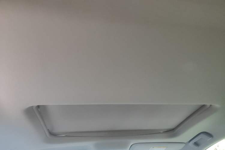 Used Buick GL8 2018 28T Luxury Model China VI Standard Headliner