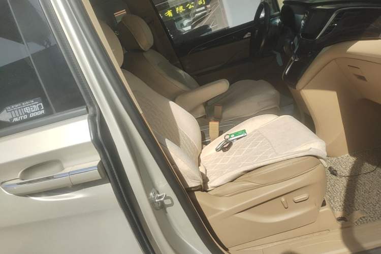 Used Buick GL8 2018 ES 28T Luxury Model China VI Standard Right Front Seat