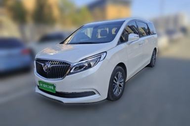 Used Buick GL8 2018 ES 28T Luxury Model China VI Standard
