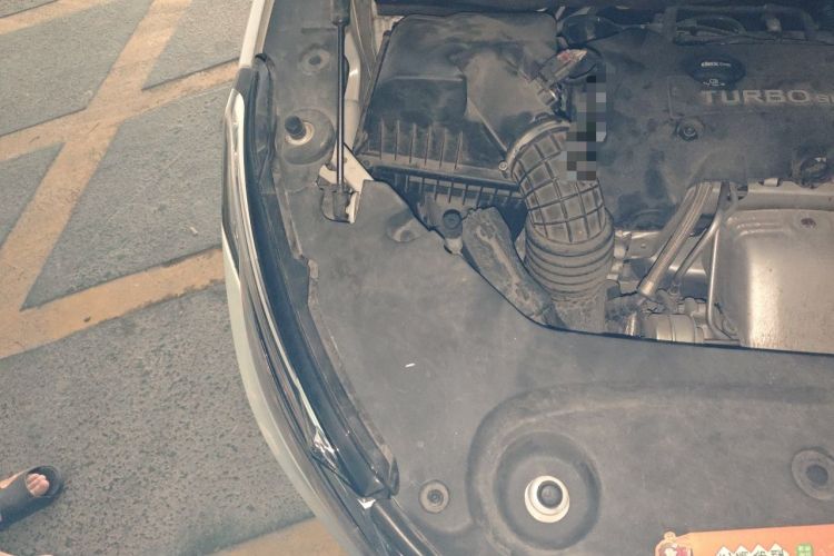 Used Buick GL8 2018 ES 28T Premium Model China VI Standard Engine Bay Right