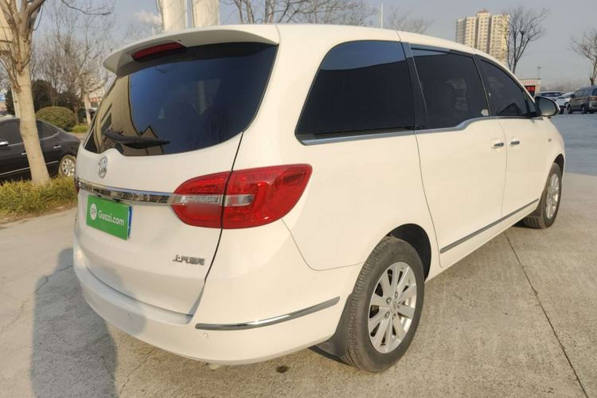 Used Buick GL8 2018 28T Luxury Model China VI Standard Rear Right 45 Deg