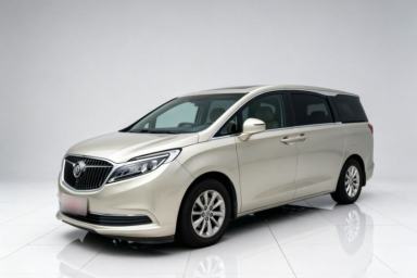 Used Buick GL8 2018 ES 28T Comfort Model China VI Standard