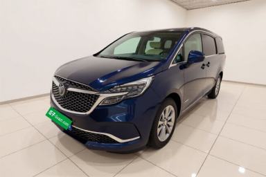 Used Buick GL8 2020 Avenir Avia Four-Seat Luxury Edition