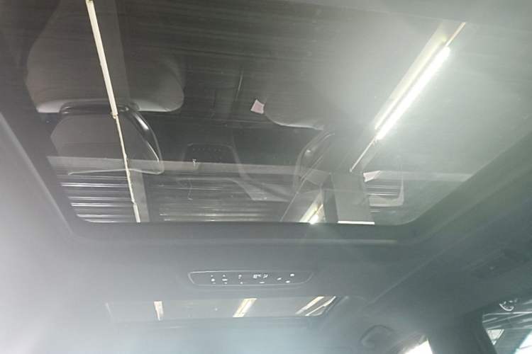 Used Buick GL8 2020 Avenir Avia Four-Seat Luxury Edition Headliner