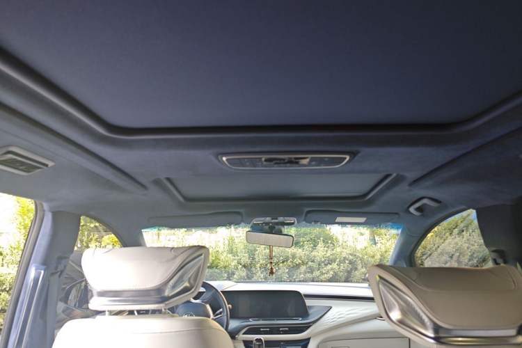 Used Buick GL8 2020 Avenir Avia Four-Seat Luxury Edition Headliner