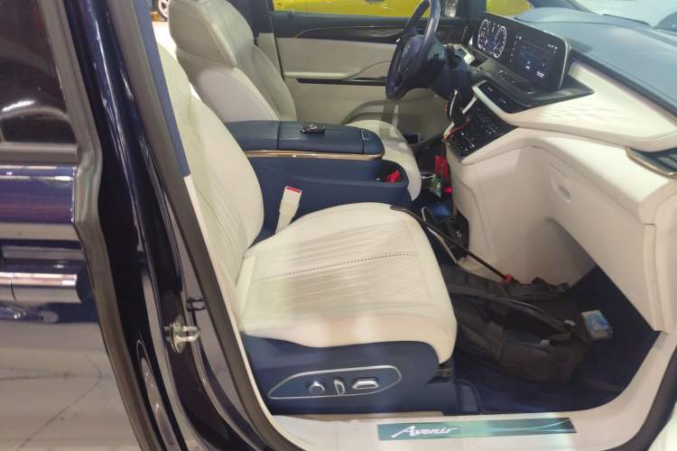 Used Buick GL8 2020 Avenir Avia Four-Seat Luxury Edition Right Front Seat