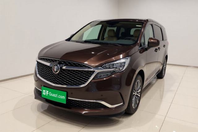 Buick GL8 2020 ES Land Cruiser 653T Flagship Model de segunda mano