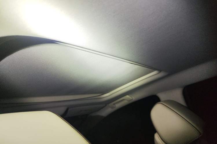 Used Buick GL8 2020 Land Business Class 652T Luxury Model Headliner