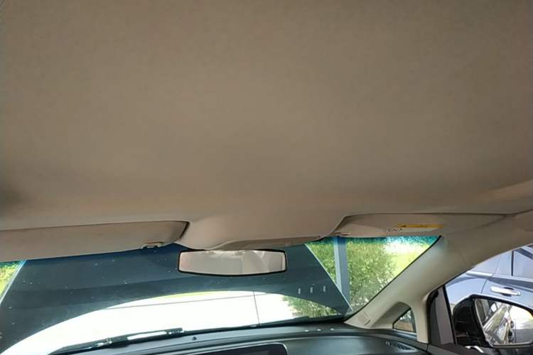 Used Buick GL8 2020 Land Cruiser Executive Class 652T Comfort Model Headliner