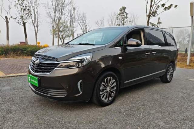 Buick GL8 2020 Land Business Class 652T Premium Model de segunda mano