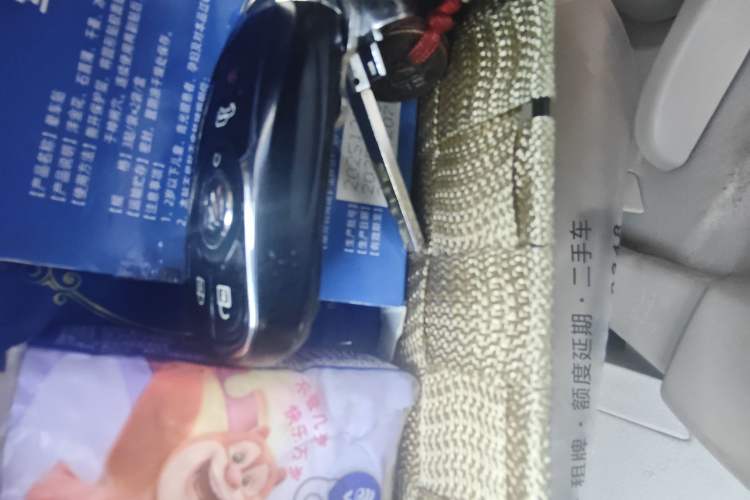 Used Buick GL8 2020 Land Business Class 652T Luxury Model Vehicle Key