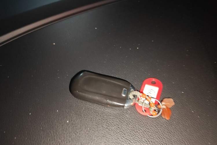 Used Buick GL8 2020 Land Cruiser Executive Class 652T Comfort Model Vehicle Key
